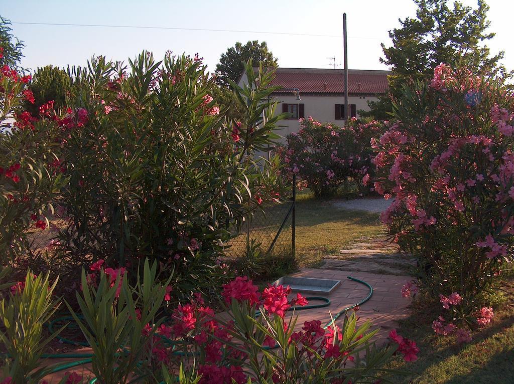 Azienda Agrituristica Allumiere Villa Campiglia Marittima Exterior photo